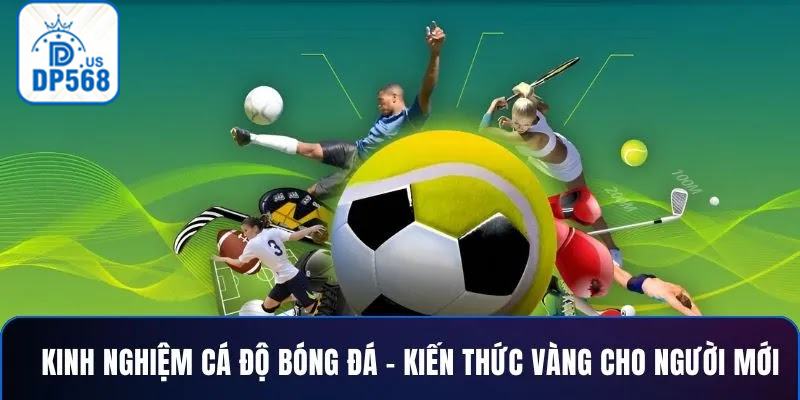 Hướng dẫn cá độ bóng đá với tỷ lệ kèo cực hấp dẫn