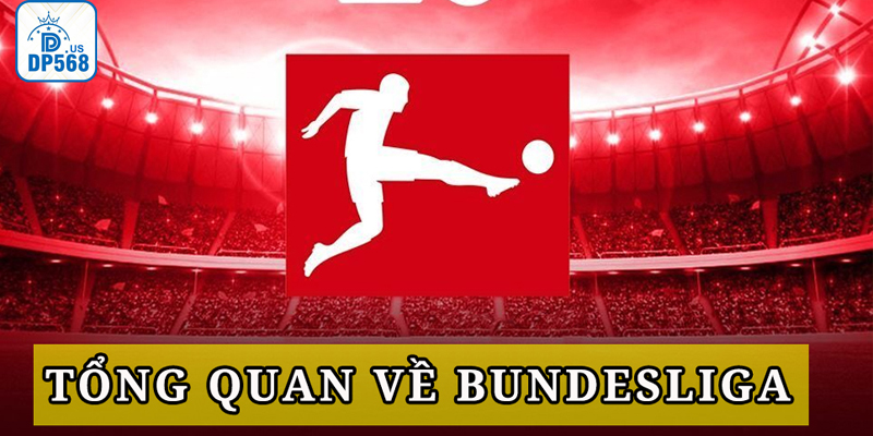 Kèo bóng đá Đức được cập nhật nhanh và chuẩn xác mỗi ngày