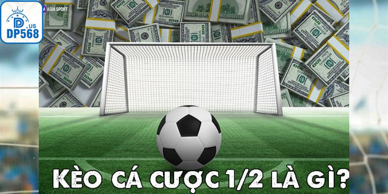 Kèo chấp 1/2 là gì và cách hiểu đúng khi đặt cược