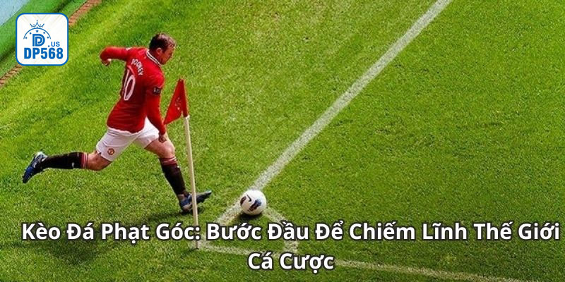 Kinh nghiệm bắt kèo phạt góc chính xác từ các chuyên gia cá độ
