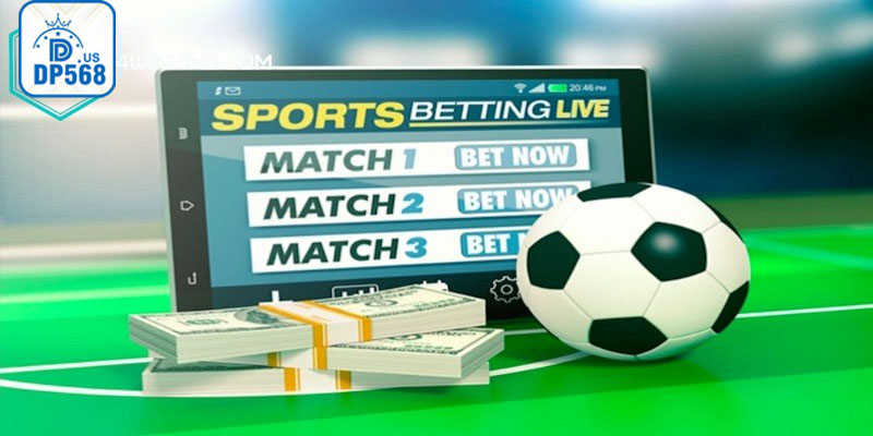 Khám phá trang bóng đá uy tín dành cho dân cá cược