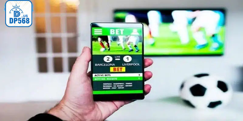 Khám phá web cá độ bóng đá với nhiều khuyến mãi hấp dẫn